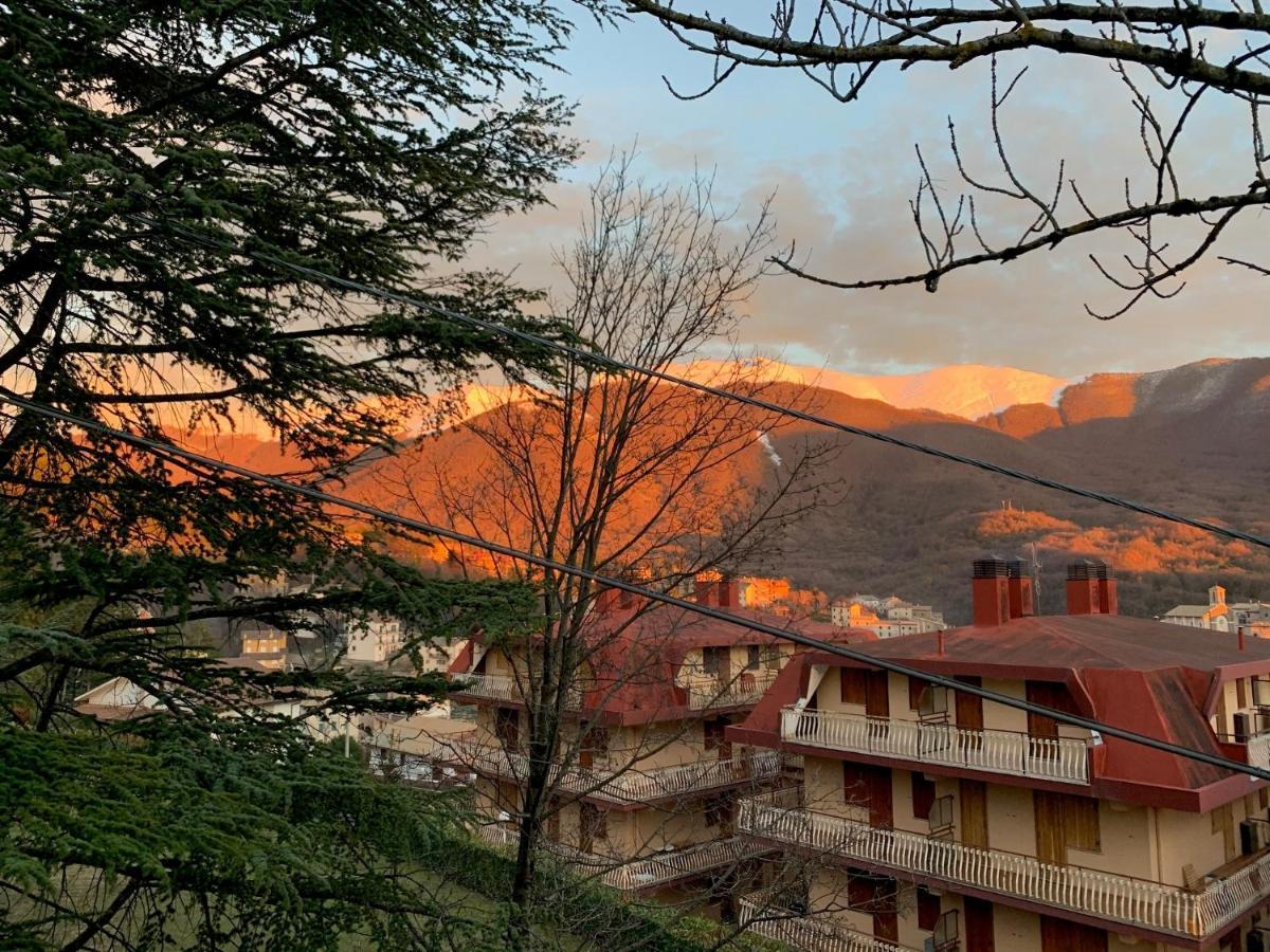 Esclusivo Chalet Immerso Nel Verde فيليتينو المظهر الخارجي الصورة